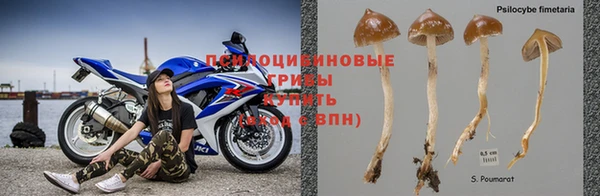 мет Нея