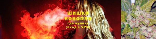 мет Нея