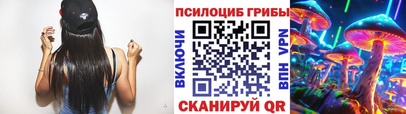 Галлюциногенные грибы GOLDEN TEACHER закладка Кушва