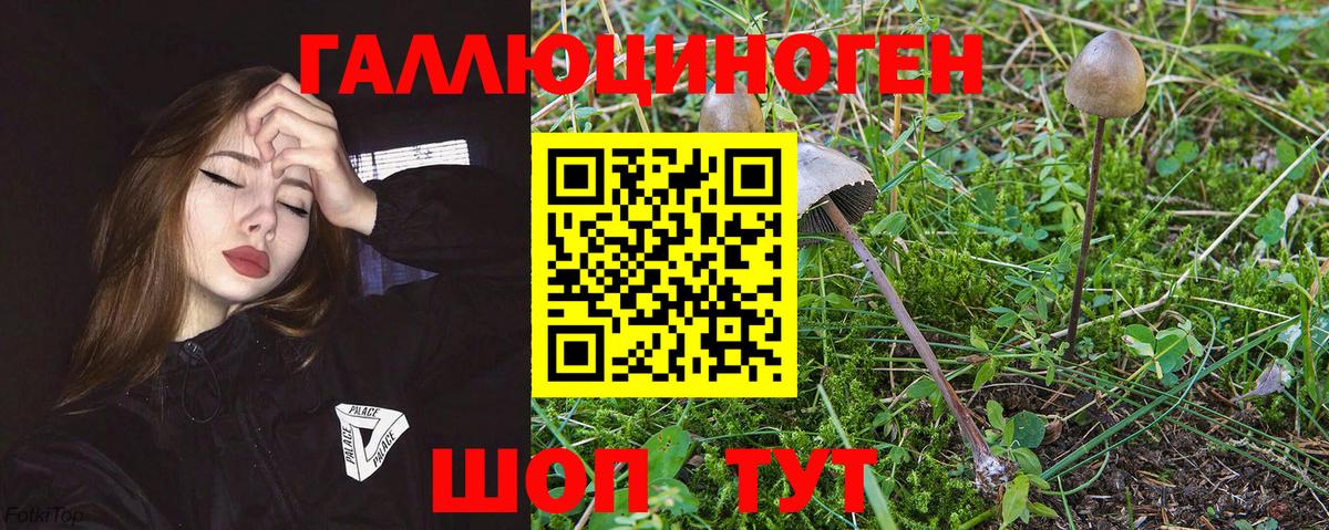 Кушва  Галлюциногенные грибы прущие грибы  Вход с VPN 