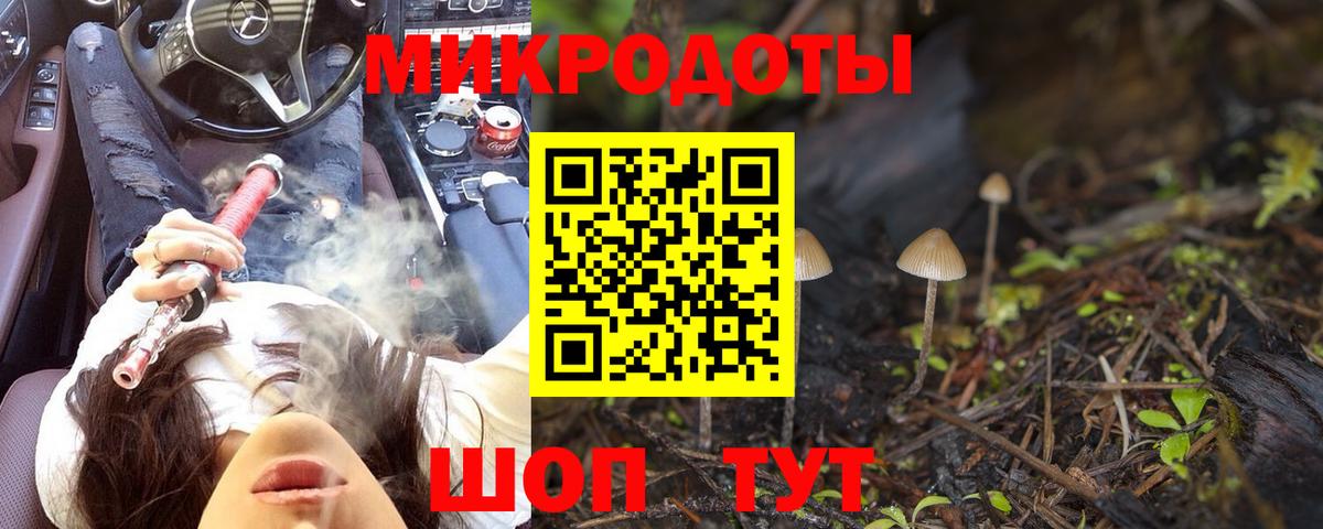 Псилоцибиновые грибы Psilocybe Кушва